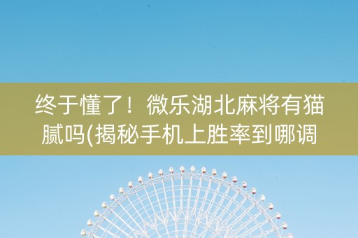 终于懂了！微乐湖北麻将有猫腻吗(揭秘手机上胜率到哪调)