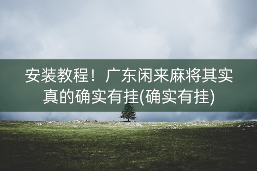安装教程！广东闲来麻将其实真的确实有挂(确实有挂)
