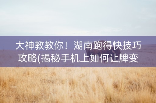 大神教教你！湖南跑得快技巧攻略(揭秘手机上如何让牌变好)