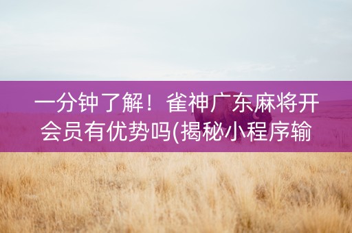 一分钟了解！雀神广东麻将开会员有优势吗(揭秘小程序输赢规律)