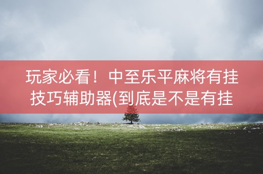 玩家必看！中至乐平麻将有挂技巧辅助器(到底是不是有挂)