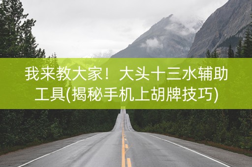 我来教大家！大头十三水辅助工具(揭秘手机上胡牌技巧)