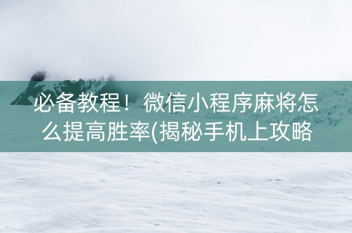 必备教程！微信小程序麻将怎么提高胜率(揭秘手机上攻略插件)