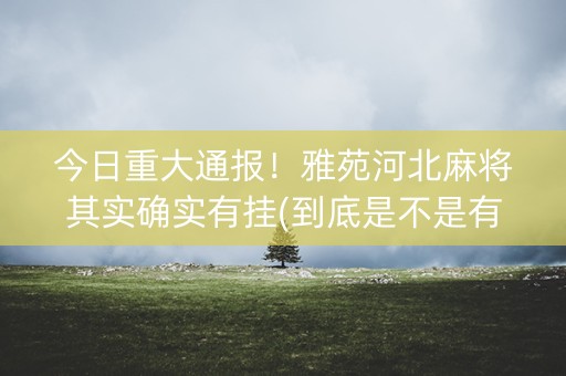 今日重大通报！雅苑河北麻将其实确实有挂(到底是不是有挂)