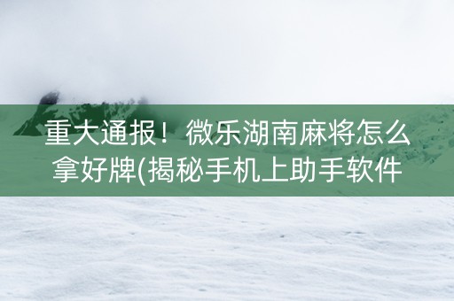重大通报！微乐湖南麻将怎么拿好牌(揭秘手机上助手软件)