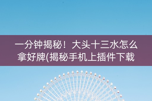 一分钟揭秘！大头十三水怎么拿好牌(揭秘手机上插件下载)