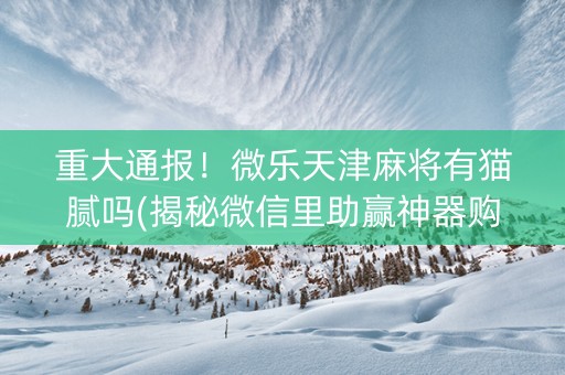 重大通报！微乐天津麻将有猫腻吗(揭秘微信里助赢神器购买)