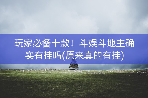 玩家必备十款！斗娱斗地主确实有挂吗(原来真的有挂)