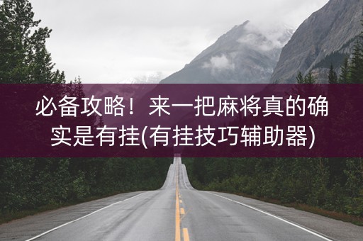 必备攻略！来一把麻将真的确实是有挂(有挂技巧辅助器)