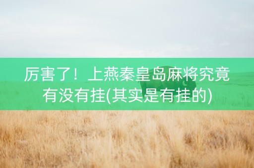 厉害了！上燕秦皇岛麻将究竟有没有挂(其实是有挂的)