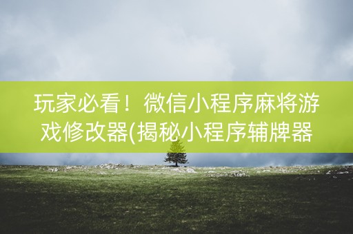 玩家必看！微信小程序麻将游戏修改器(揭秘小程序辅牌器)
