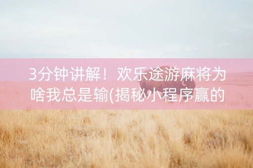 3分钟讲解！欢乐途游麻将为啥我总是输(揭秘小程序赢的秘诀)