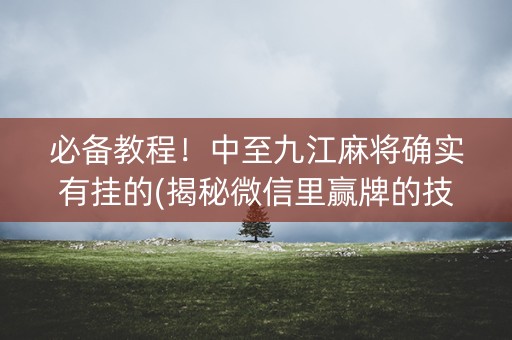 必备教程！中至九江麻将确实有挂的(揭秘微信里赢牌的技巧)