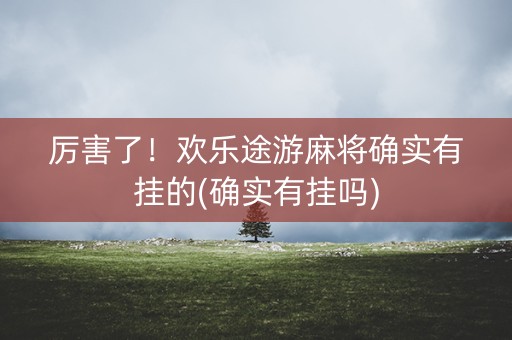 厉害了！欢乐途游麻将确实有挂的(确实有挂吗)