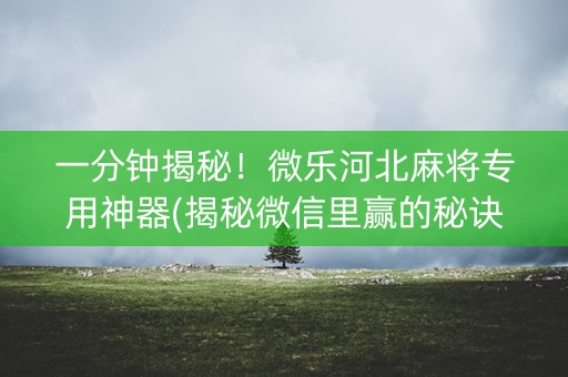 一分钟揭秘！微乐河北麻将专用神器(揭秘微信里赢的秘诀)