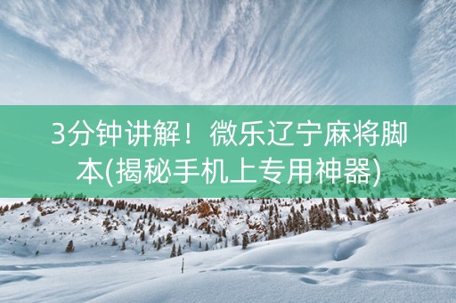 3分钟讲解！微乐辽宁麻将脚本(揭秘手机上专用神器)
