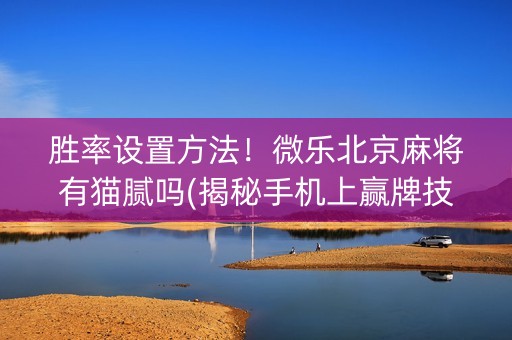 胜率设置方法！微乐北京麻将有猫腻吗(揭秘手机上赢牌技巧)
