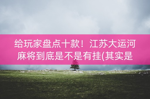 给玩家盘点十款！江苏大运河麻将到底是不是有挂(其实是有挂的)