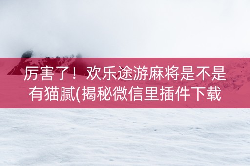 厉害了！欢乐途游麻将是不是有猫腻(揭秘微信里插件下载)