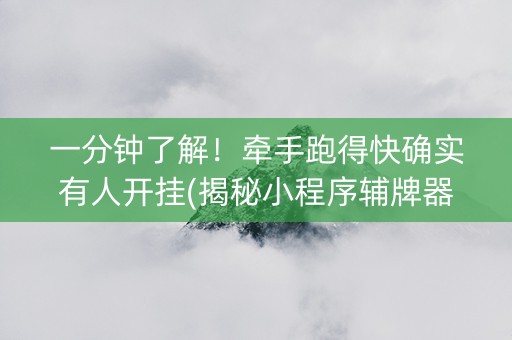 一分钟了解！牵手跑得快确实有人开挂(揭秘小程序辅牌器)