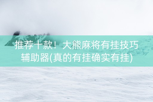 推荐十款！大熊麻将有挂技巧辅助器(真的有挂确实有挂)