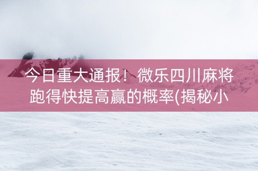 今日重大通报！微乐四川麻将跑得快提高赢的概率(揭秘小程序赢牌技巧)
