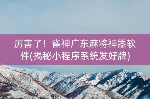 厉害了！雀神广东麻将神器软件(揭秘小程序系统发好牌)