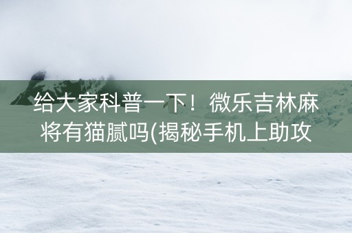 给大家科普一下！微乐吉林麻将有猫腻吗(揭秘手机上助攻神器)