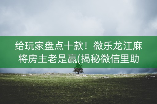 给玩家盘点十款！微乐龙江麻将房主老是赢(揭秘微信里助手软件)