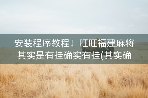 安装程序教程！旺旺福建麻将其实是有挂确实有挂(其实确实有挂)