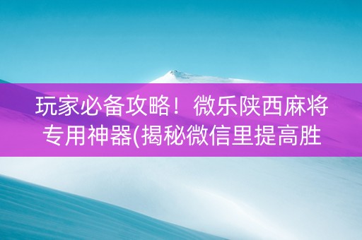 玩家必备攻略！微乐陕西麻将专用神器(揭秘微信里提高胜率)