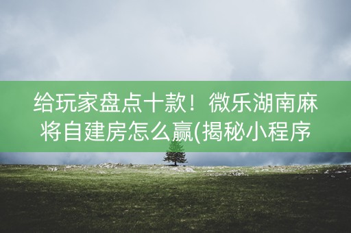 给玩家盘点十款！微乐湖南麻将自建房怎么赢(揭秘小程序胜率到哪调)