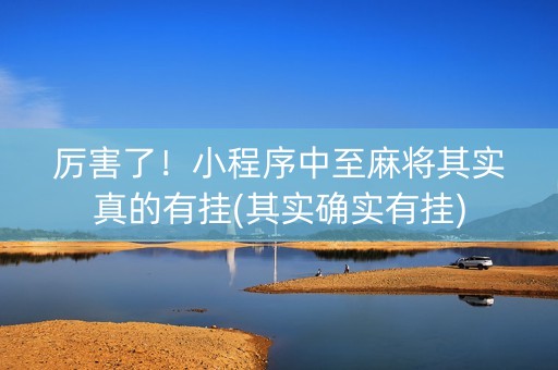 厉害了！小程序中至麻将其实真的有挂(其实确实有挂)