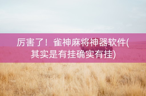 厉害了！雀神麻将神器软件(其实是有挂确实有挂)