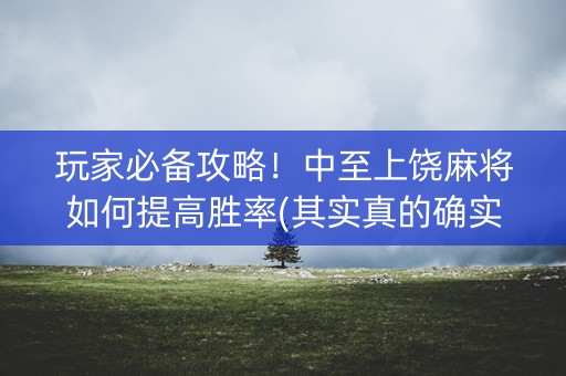 玩家必备攻略！中至上饶麻将如何提高胜率(其实真的确实有挂)