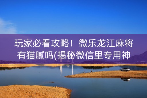 玩家必看攻略！微乐龙江麻将有猫腻吗(揭秘微信里专用神器下载)