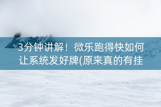3分钟讲解！微乐跑得快如何让系统发好牌(原来真的有挂)
