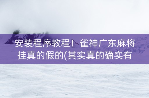 安装程序教程！雀神广东麻将挂真的假的(其实真的确实有挂)