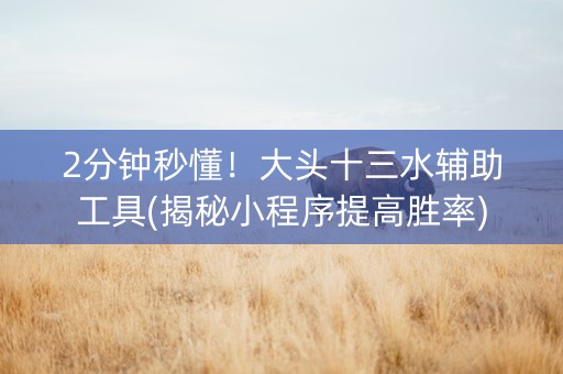 2分钟秒懂！大头十三水辅助工具(揭秘小程序提高胜率)