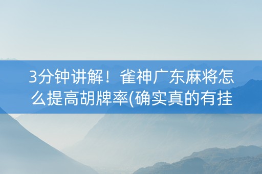 3分钟讲解！雀神广东麻将怎么提高胡牌率(确实真的有挂)
