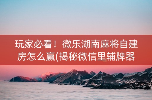 玩家必看！微乐湖南麻将自建房怎么赢(揭秘微信里辅牌器)
