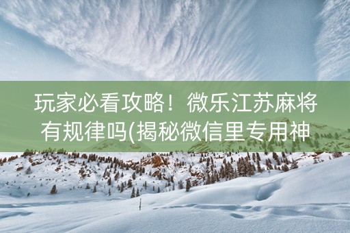玩家必看攻略！微乐江苏麻将有规律吗(揭秘微信里专用神器下载)