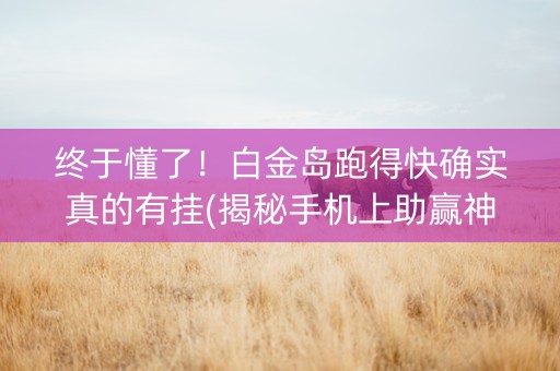 终于懂了！白金岛跑得快确实真的有挂(揭秘手机上助赢神器)