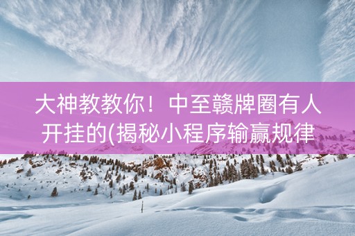 大神教教你！中至赣牌圈有人开挂的(揭秘小程序输赢规律)
