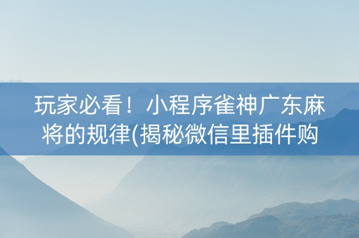 玩家必看！小程序雀神广东麻将的规律(揭秘微信里插件购买)