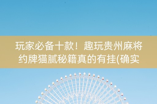玩家必备十款！趣玩贵州麻将约牌猫腻秘籍真的有挂(确实有挂)