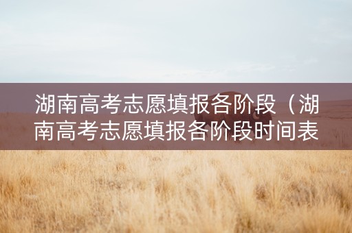 湖南高考志愿填报各阶段（湖南高考志愿填报各阶段时间表）