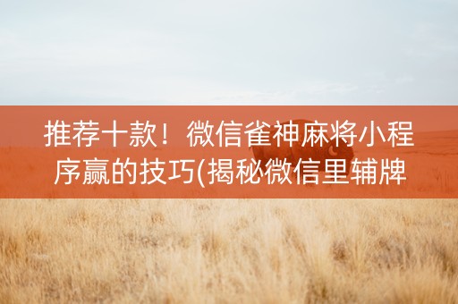 推荐十款！微信雀神麻将小程序赢的技巧(揭秘微信里辅牌器)