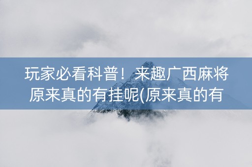 玩家必看科普！来趣广西麻将原来真的有挂呢(原来真的有挂)