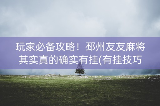 玩家必备攻略！邳州友友麻将其实真的确实有挂(有挂技巧辅助器)